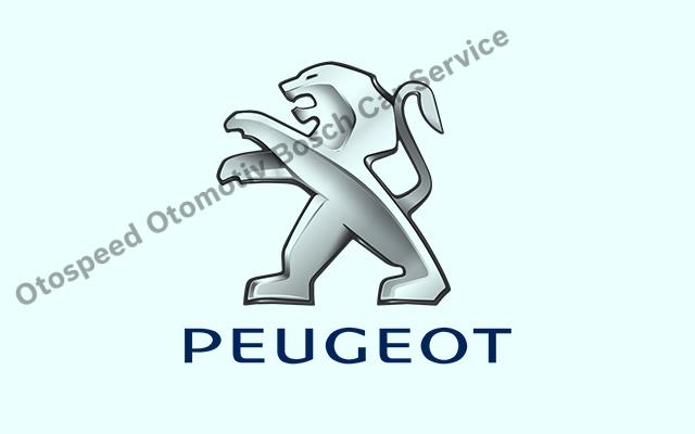 Kartal Peugeot Servisi